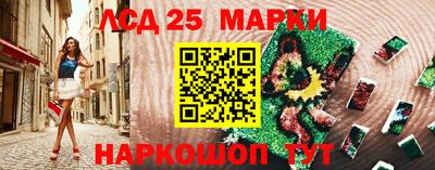 СК Ярославль