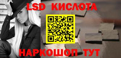 СК Ярославль