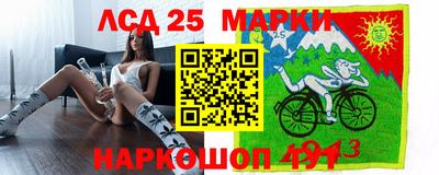 СК Ярославль