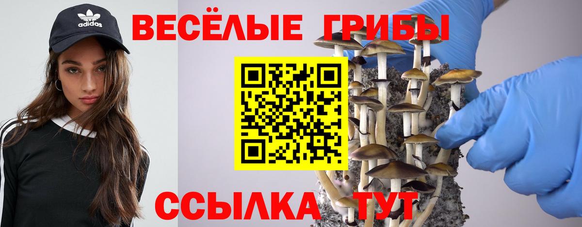 Новый Уренгой  Псилоцибиновые грибы Psilocybe  Вход с VPN  Псилоцибиновые грибы Psilocybe 